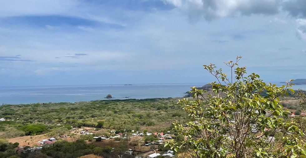 Terreno Cielo Mar, Flamingo