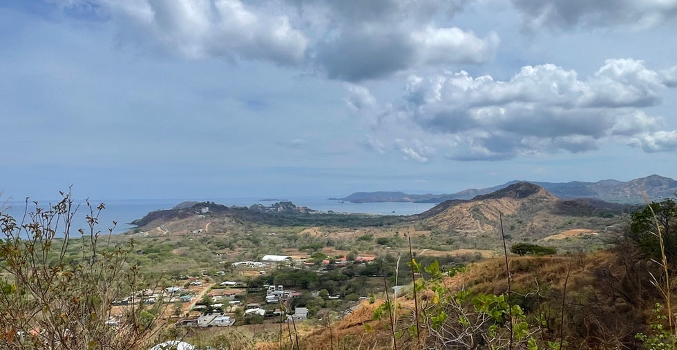 Terreno Cielo Mar, Flamingo