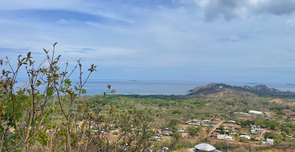 Terreno Cielo Mar, Flamingo