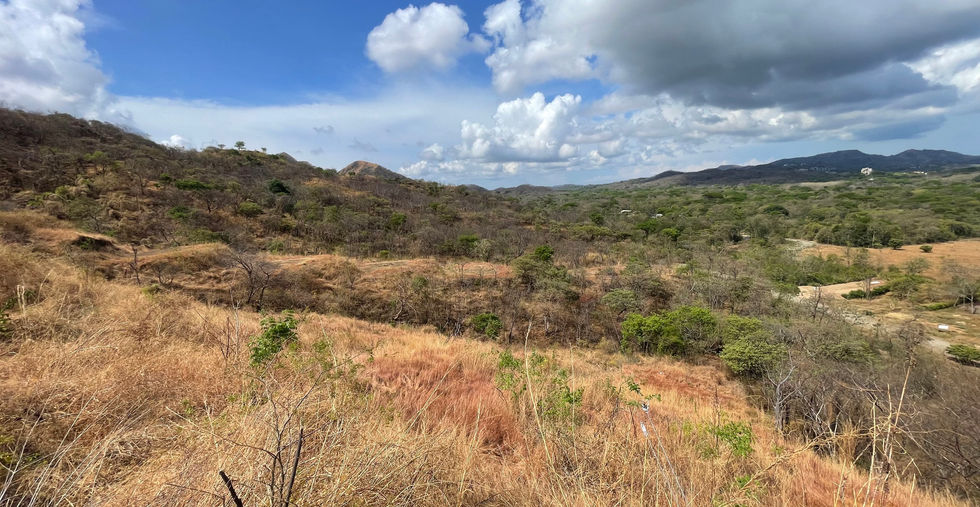 Terreno Cielo Mar, Flamingo