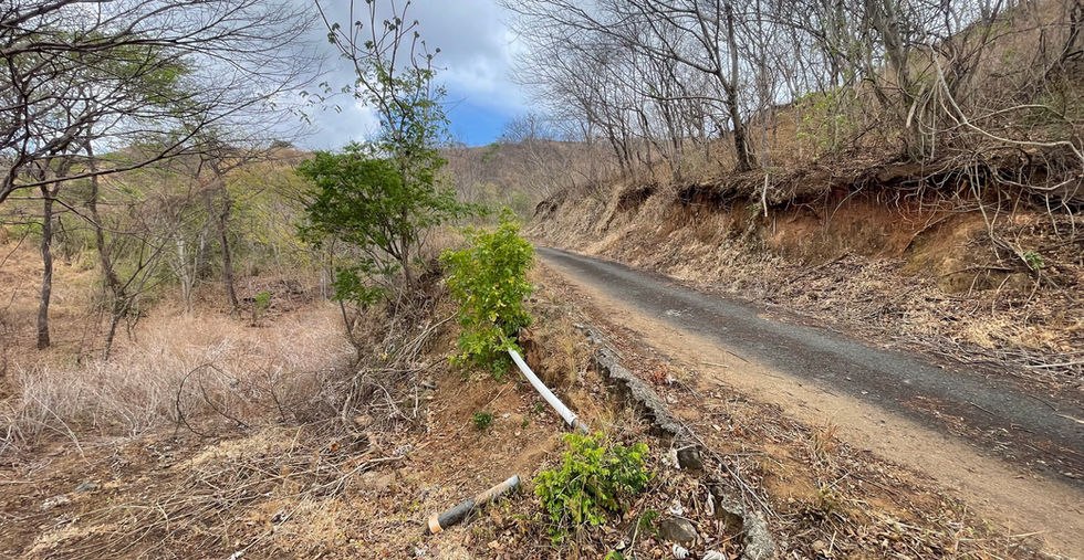 Terreno Cielo Mar, Flamingo